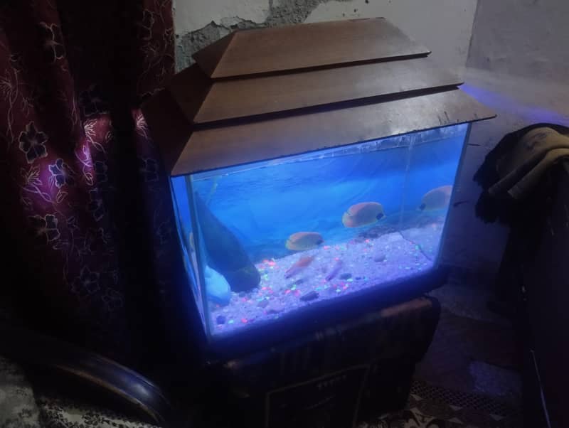 Fishes 8