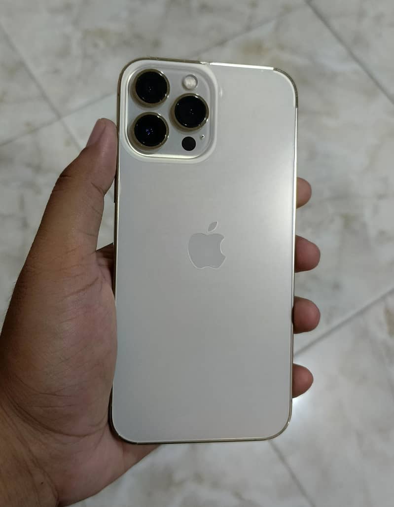 Apple iPhone 13 Pro Max 1