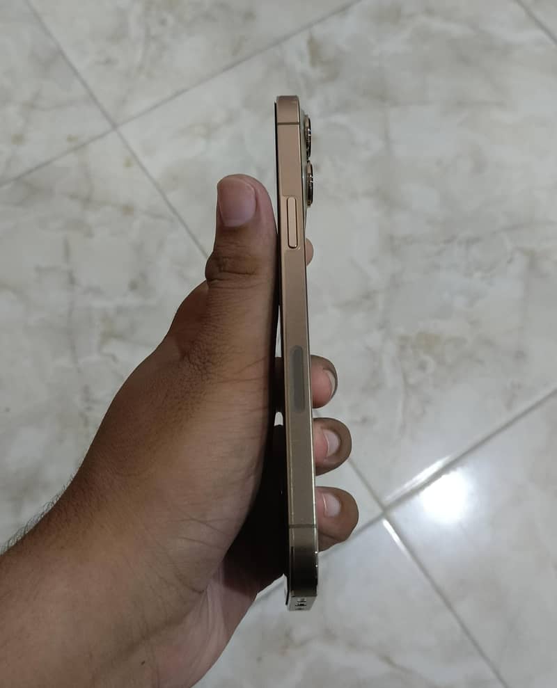 Apple iPhone 13 Pro Max 2