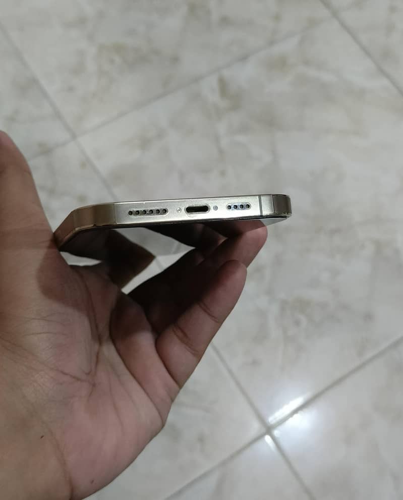 Apple iPhone 13 Pro Max 4