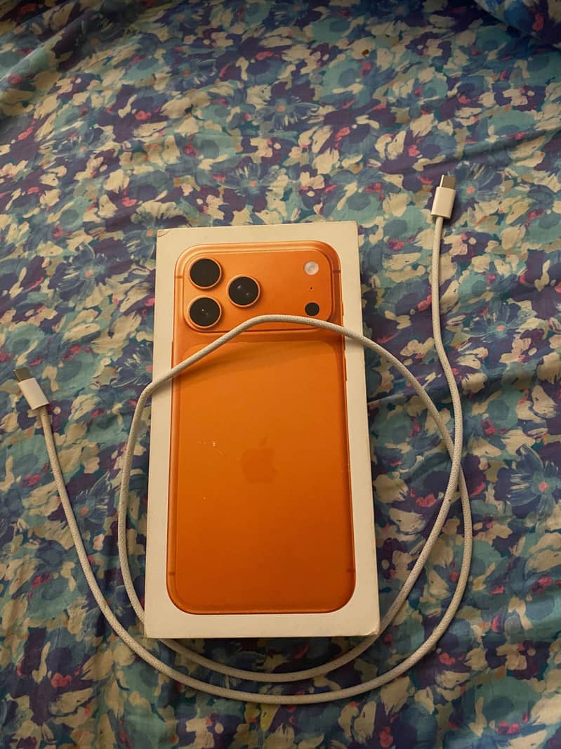 iPhone 17pm 10