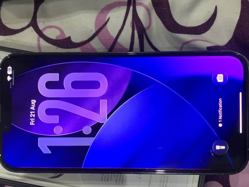 Apple iPhone 13 Pro Max 7