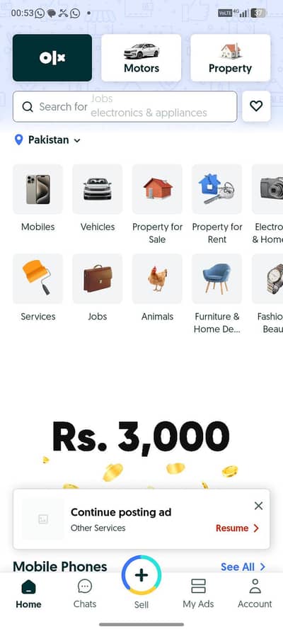 Assignment, cv & olx writing services .