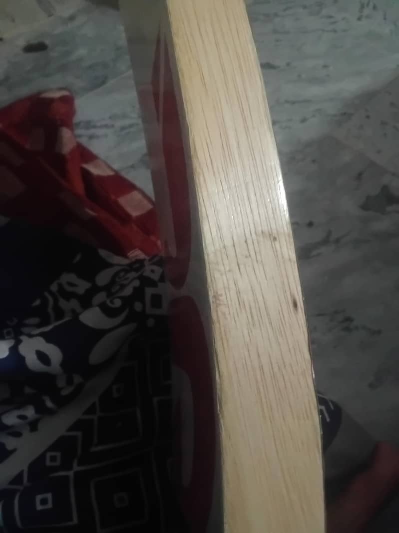 jd coconut bat 1