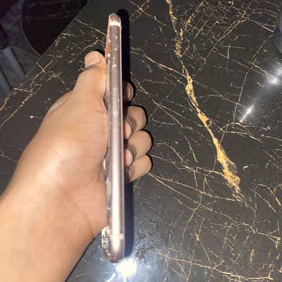 Apple iPhone 8 panel nhi hai
