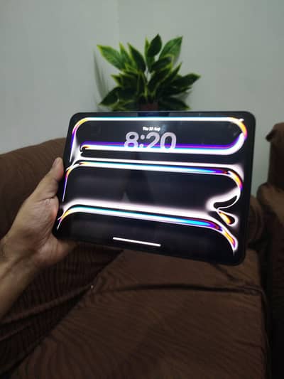 IPAD PRO M4 (256 GB) (11 inch) (Space black)