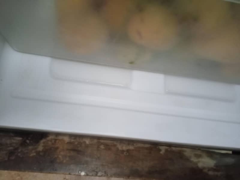 haier freezer 6