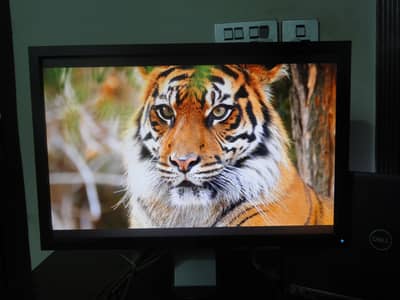 dell 22 inch monitor