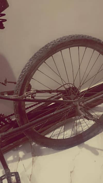 gear jumper full size cycle