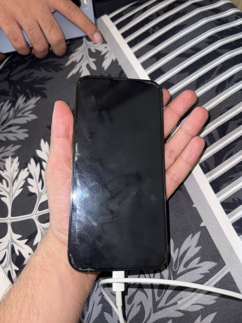 Apple iPhone 13 Pro Max 1