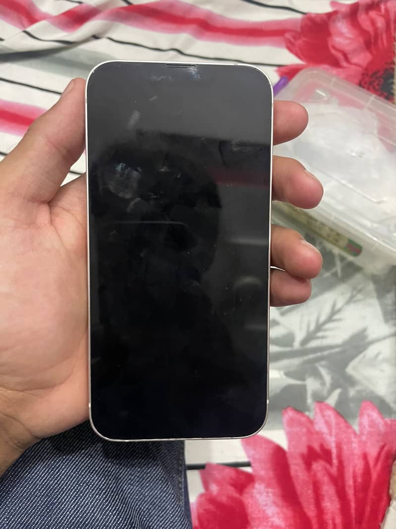 Apple iPhone 13 1