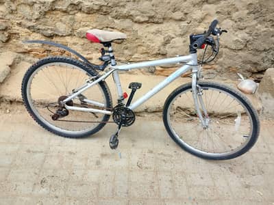 DUBAI IMPORTANT CYCLE 26 Size