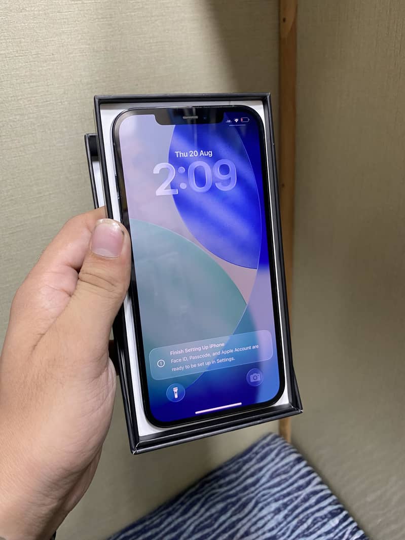 Apple 12pro Mx 1