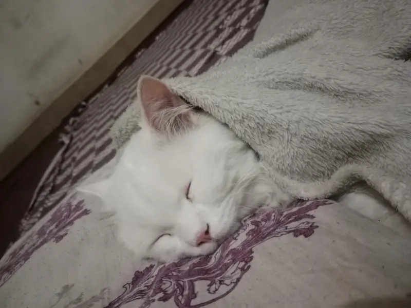 cute male — photo 3