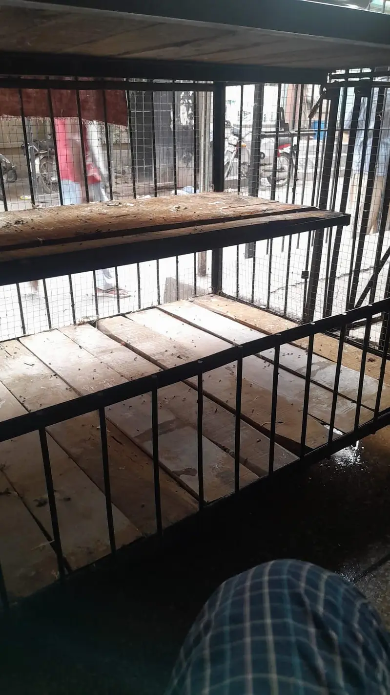 hen cage — photo 3