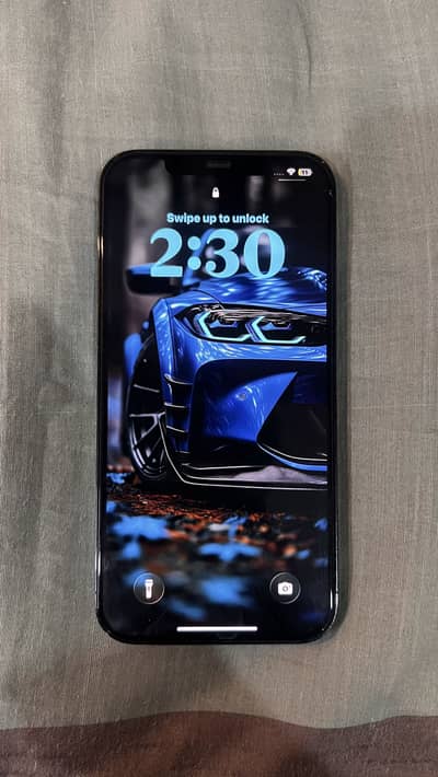 Apple iPhone 12 Pro Max