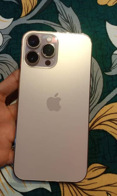 Apple iPhone 13 Pro Max non pata jv