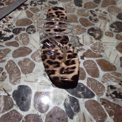 ladies shose brand