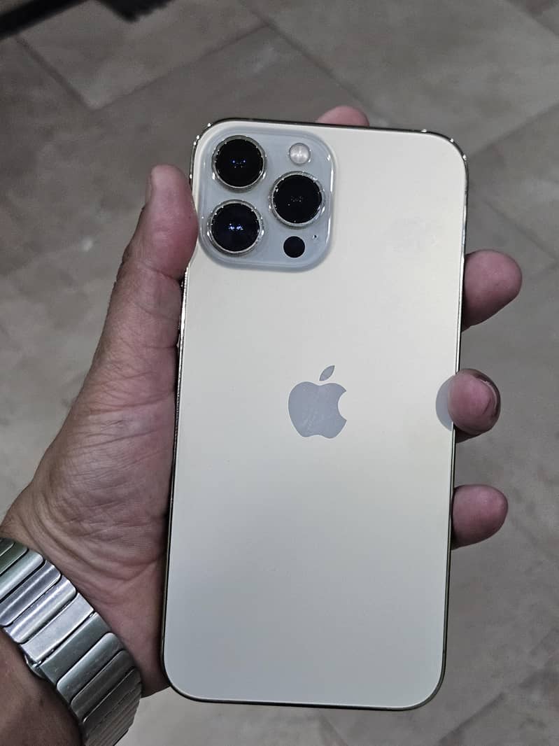 Apple iPhone 13 Pro Max 9
