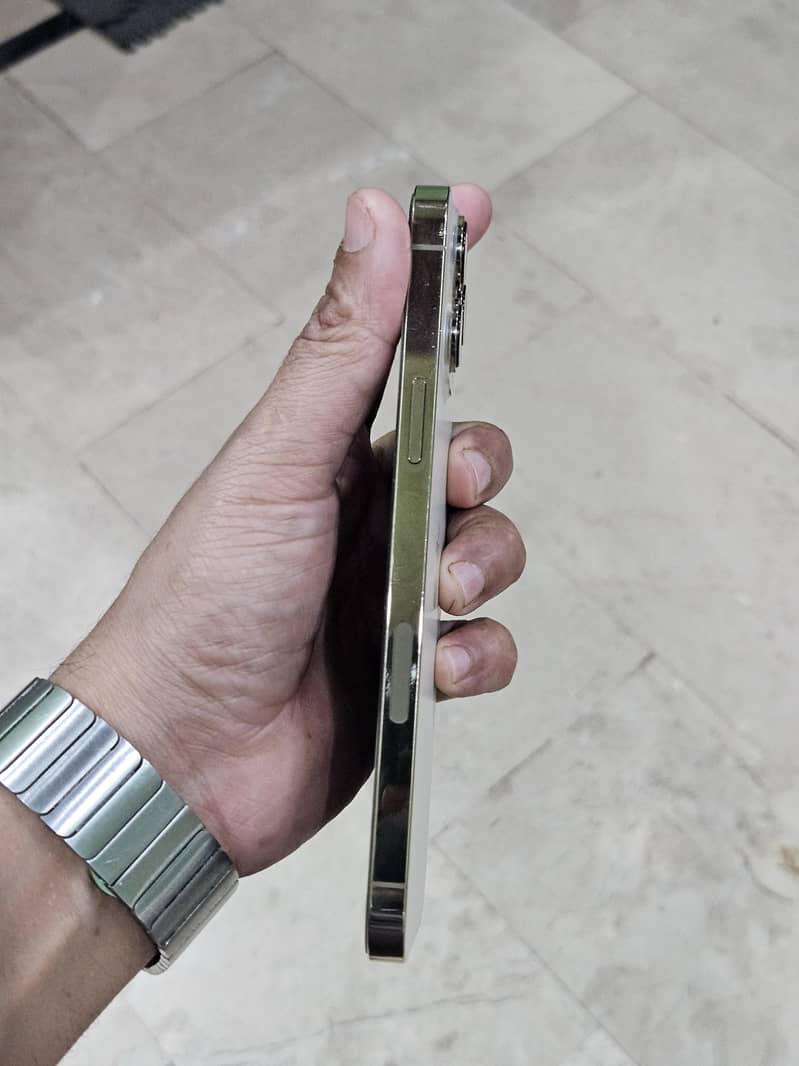 Apple iPhone 13 Pro Max 11