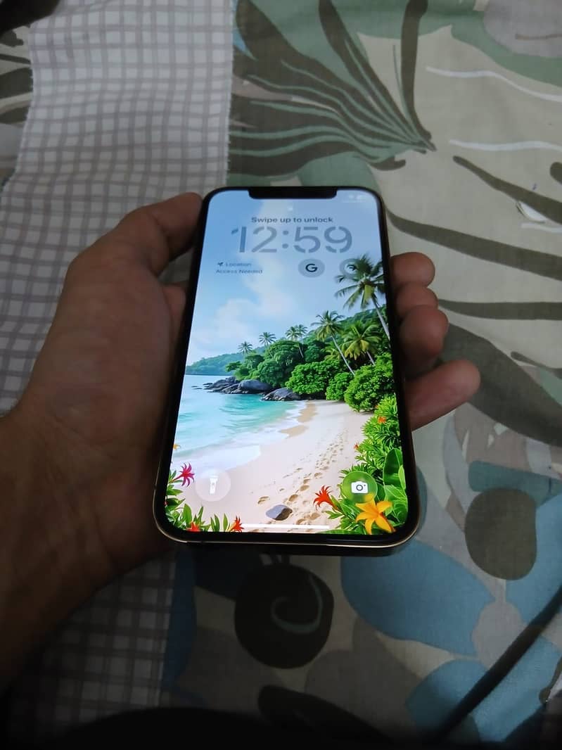 Apple iPhone 12 Pro 1