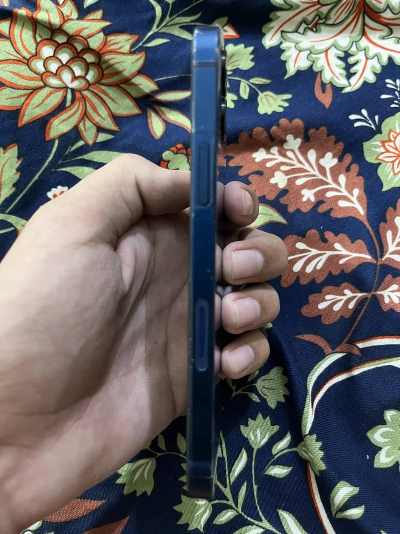 Apple iPhone 12 1