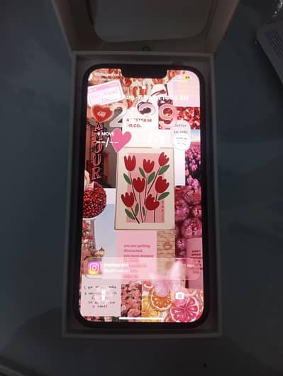 Apple iPhone 14