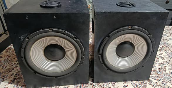 10" Panasonic Woofer Pair Original with Amplifier