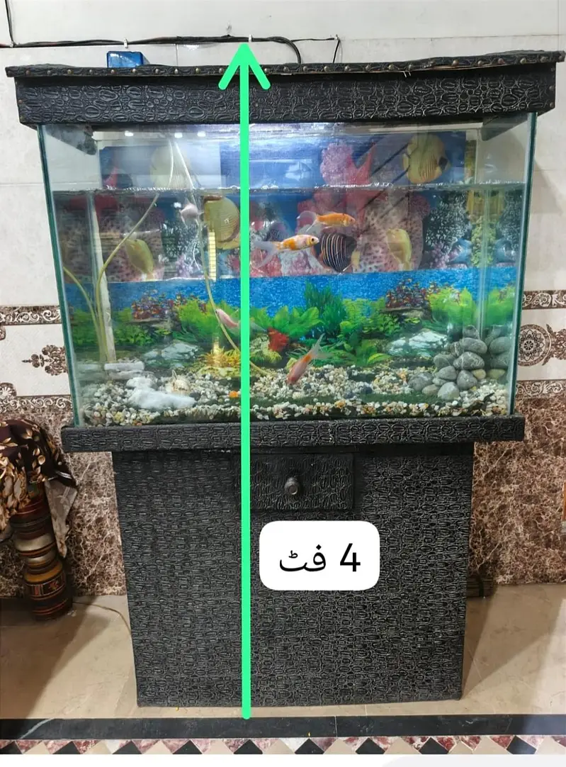 aquarium without fish — photo 2