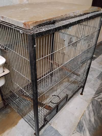 Gray parrot cage