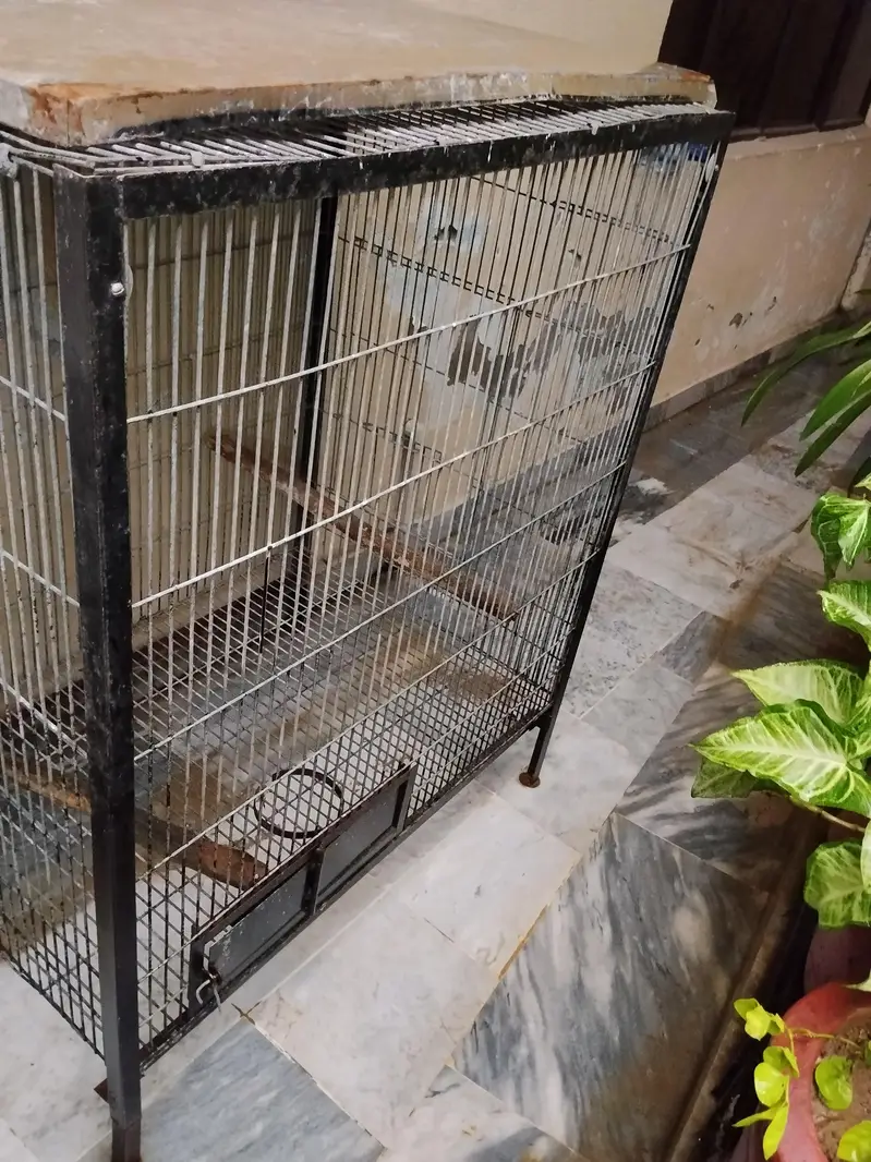 Gray parrot cage — photo 2