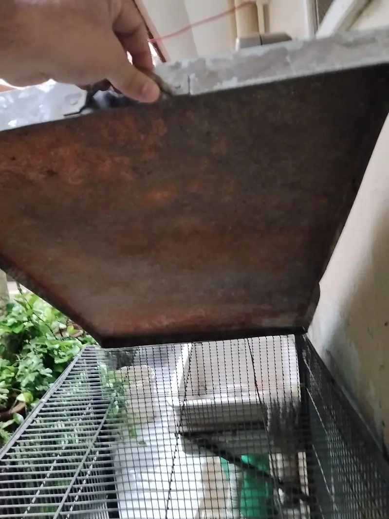 Gray parrot cage — photo 3