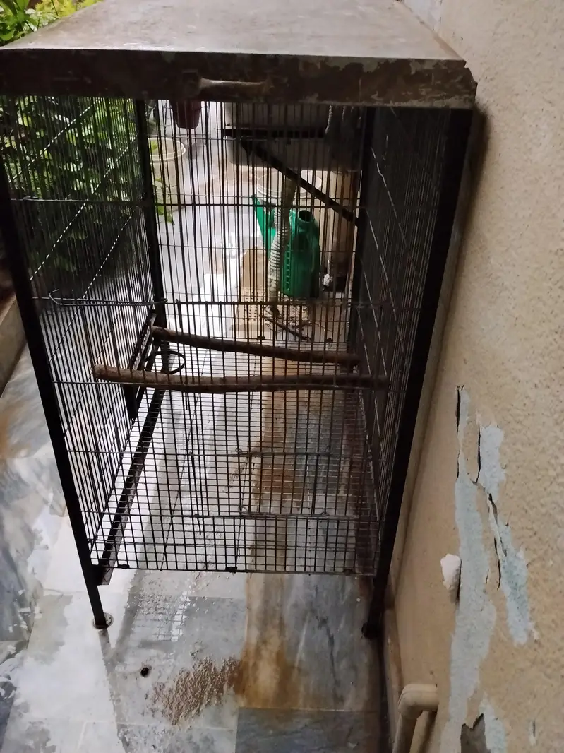 Gray parrot cage — photo 4