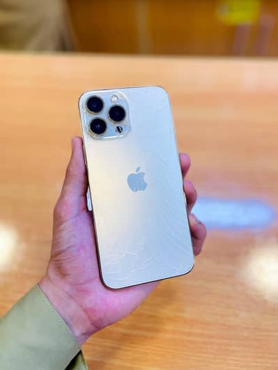 IPHONE 13 PRO MAX WATERPACK