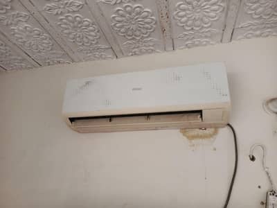 Hair 1.0 tan ac for sale