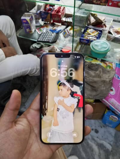 Apple iPhone 13 Pro Max