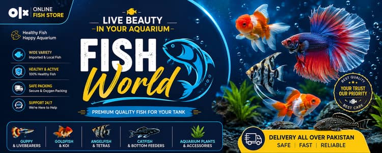 High quality goldfish available. . . . . . . and more fishes available. . .