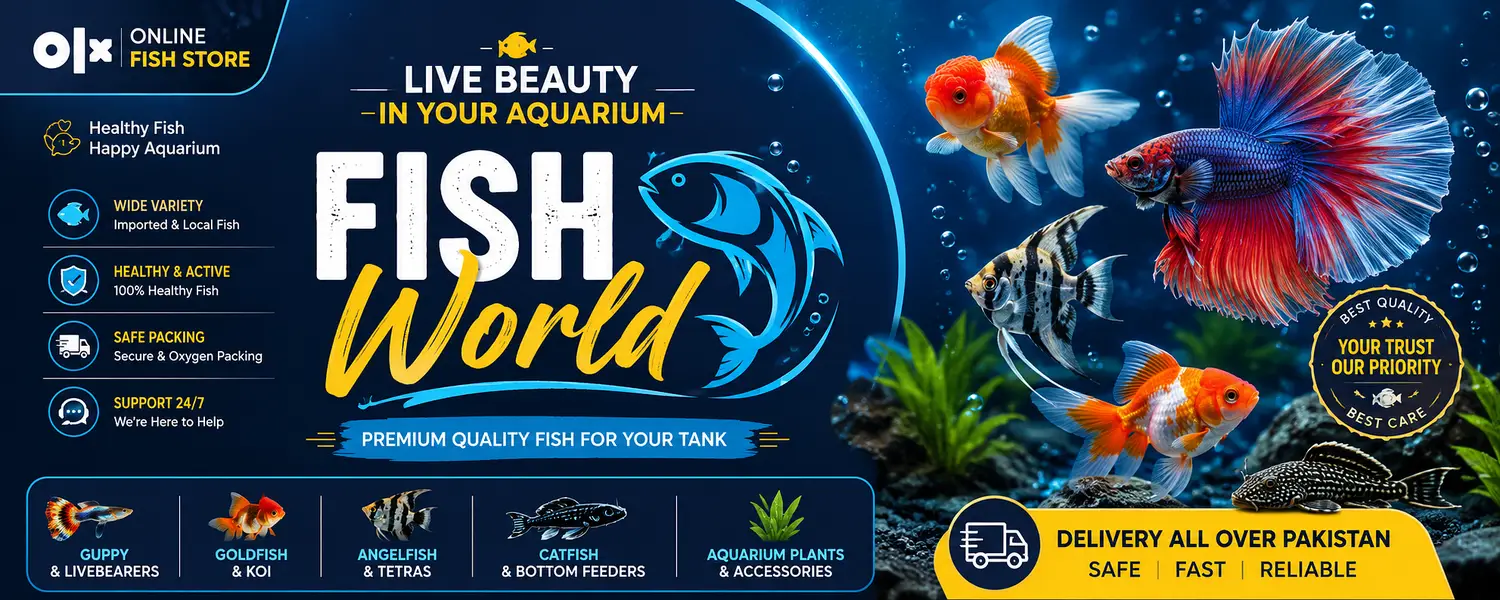 High quality goldfish available. . . . . . . and more fishes available. . .
