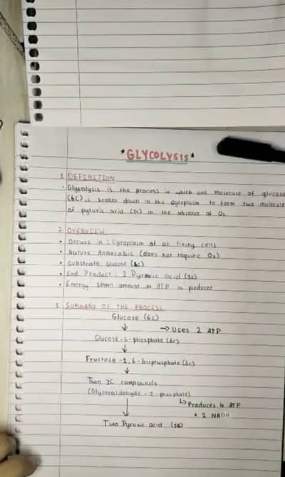 AIOU all time assignments