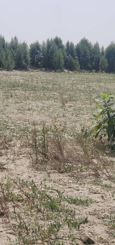 108 Kanal (13.5 Acres) Fully Developed Agricultural Land For Sale