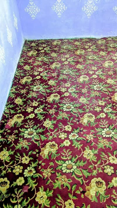 Carpet condition 10/8 like new