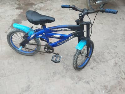 kids bicycle imperial