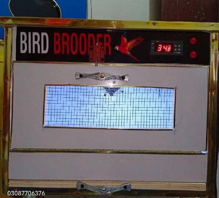 Brooder 0