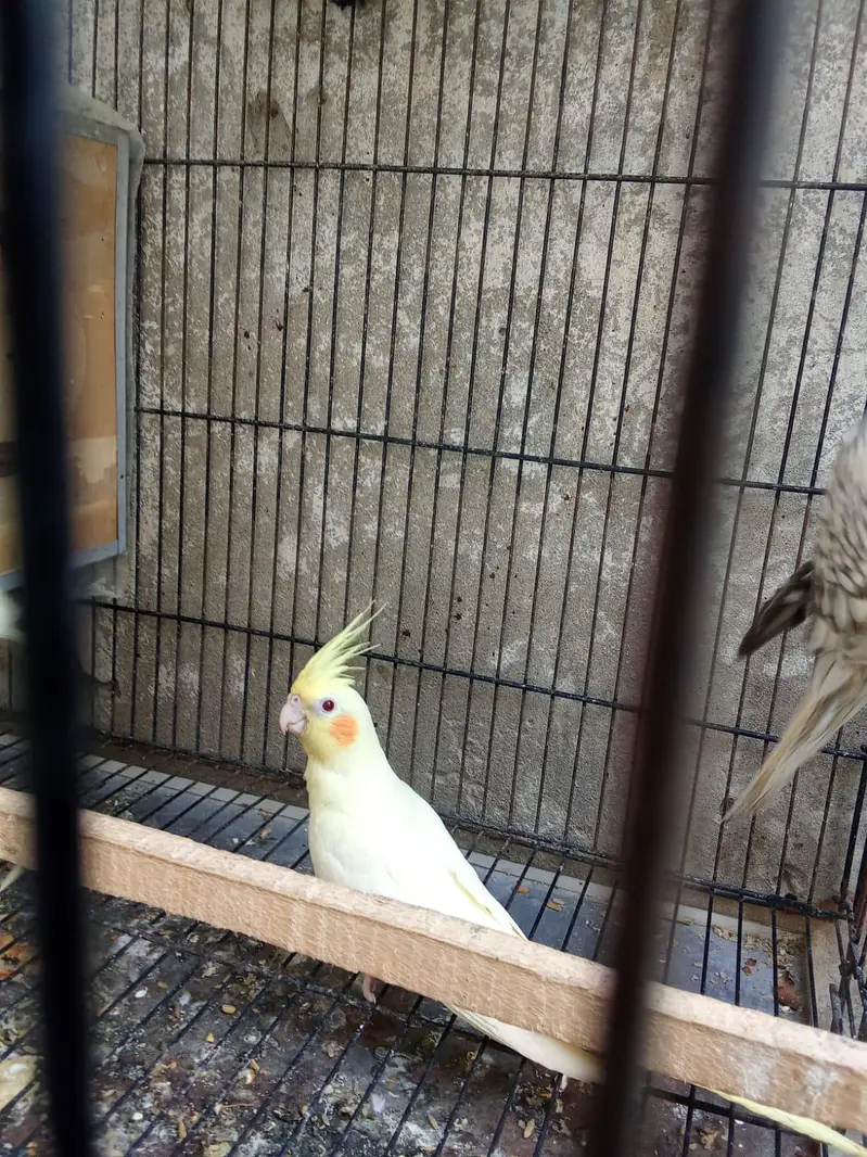 full active and healthy — photo 2