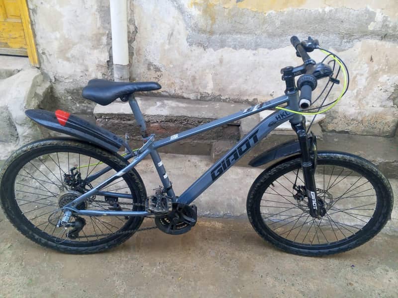bycycle 1