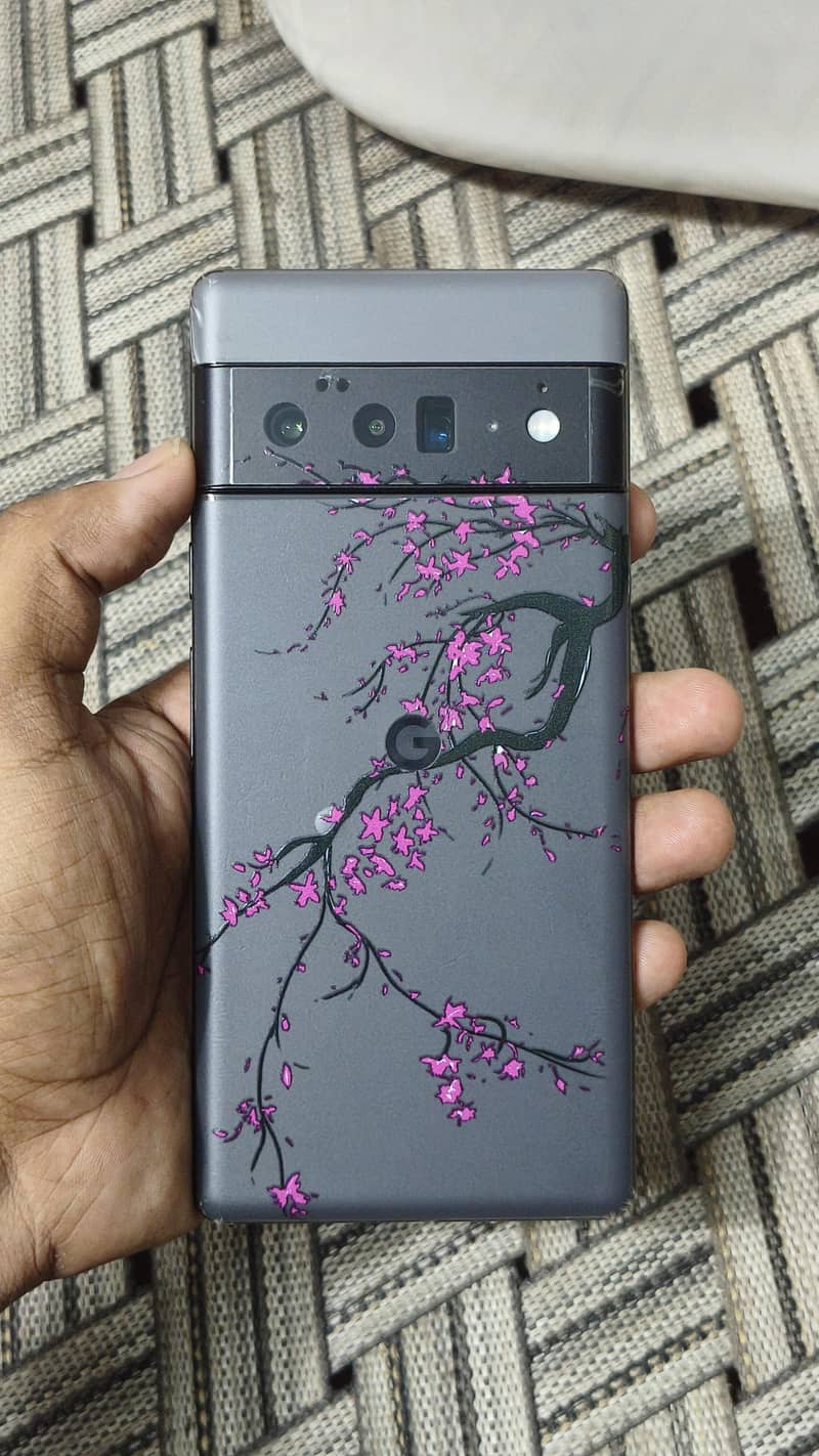 Google Pixel 6 Pro 1