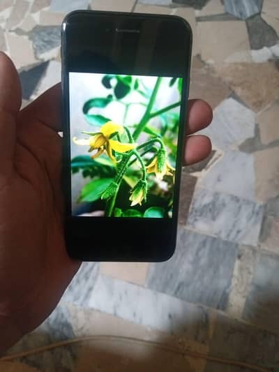 Apple iPhone 8