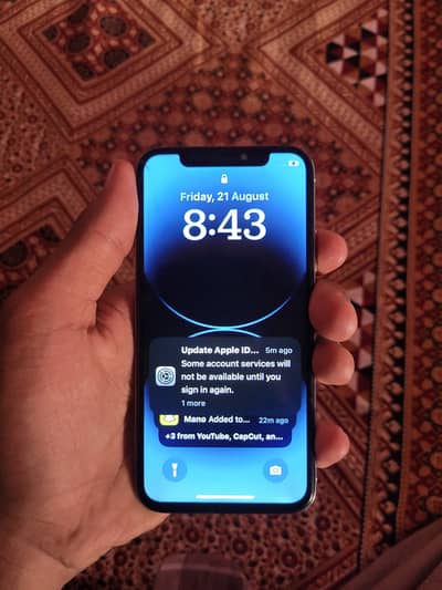 Apple iPhone X