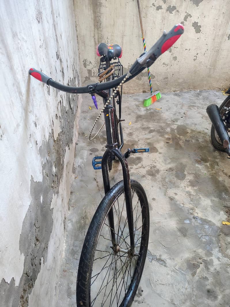Cycle 1