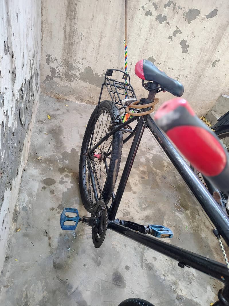 Cycle 4